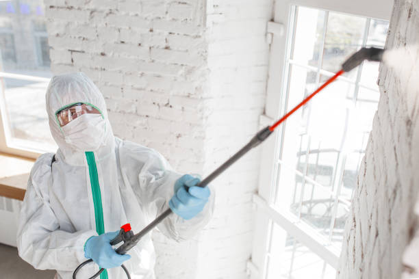 Best Airborne Mold Testing  in Hurricane, UT