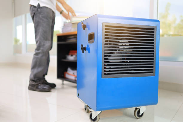 Best Biohazard Mold Removal  in Hurricane, UT